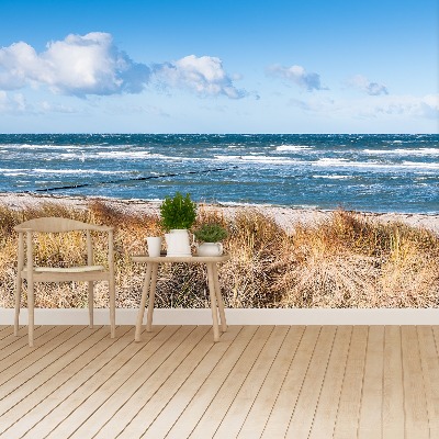 Mural de parede Grama das Dunas