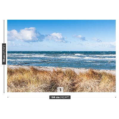 Mural de parede Grama das Dunas