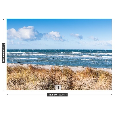 Mural de parede Grama das Dunas