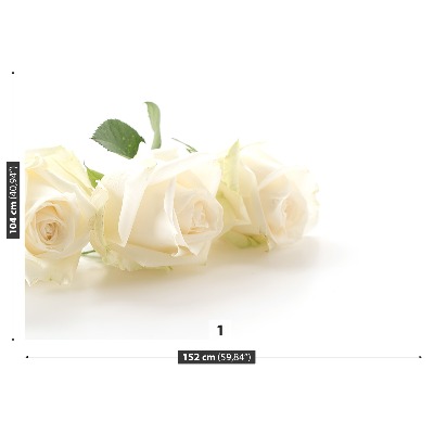 Mural de parede rosas brancas