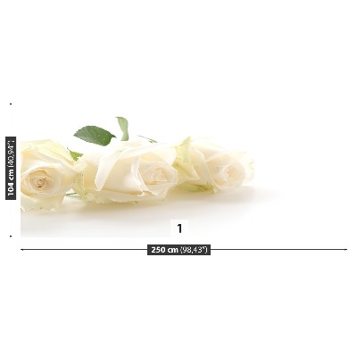 Mural de parede rosas brancas