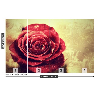 Papel de parede Rosa vermelha