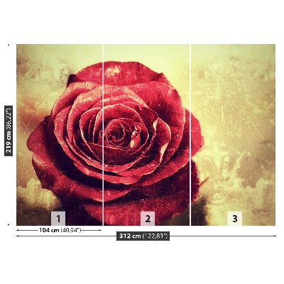 Papel de parede Rosa vermelha