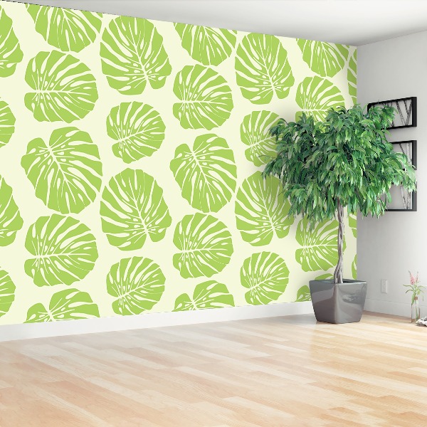 Papel de parede Folhas de Monstera