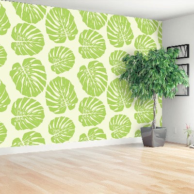 Papel de parede Folhas de Monstera