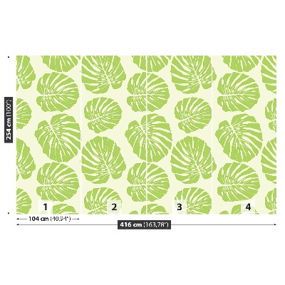 Papel de parede Folhas de Monstera