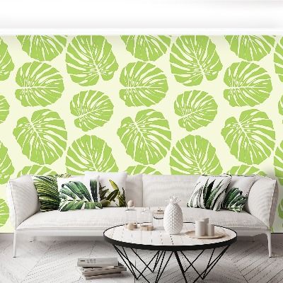 Papel de parede Folhas de Monstera