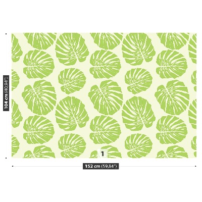 Papel de parede Folhas de Monstera