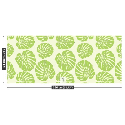 Papel de parede Folhas de Monstera