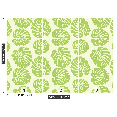 Papel de parede Folhas de Monstera