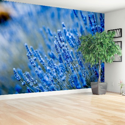 Papel de parede Azul Lavanda