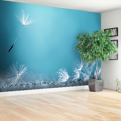 Papel de parede Dente-de-leão