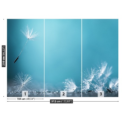 Papel de parede Dente-de-leão