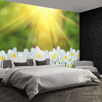 Papel de parede Narciso Branco