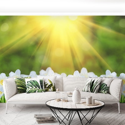 Papel de parede Narciso Branco