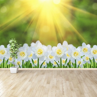 Papel de parede Narciso Branco