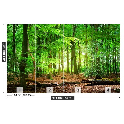 Mural de parede Floresta de primavera