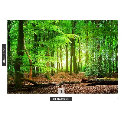 Mural de parede Floresta de primavera