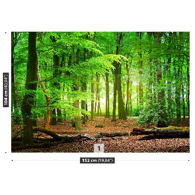 Mural de parede Floresta de primavera