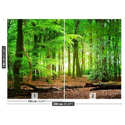 Mural de parede Floresta de primavera