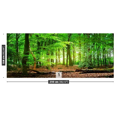 Mural de parede Floresta de primavera