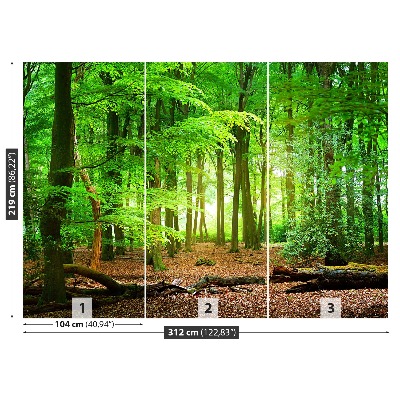 Mural de parede Floresta de primavera