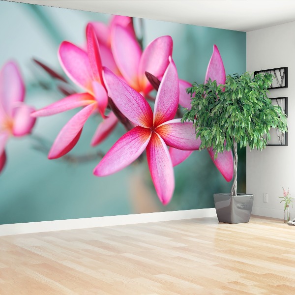 Mural de parede Plumeria Rosa