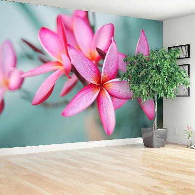 Mural de parede Plumeria Rosa