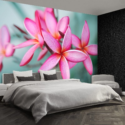 Mural de parede Plumeria Rosa
