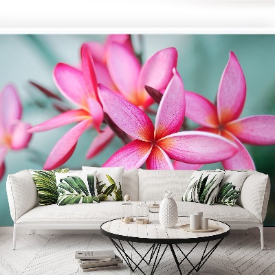 Mural de parede Plumeria Rosa
