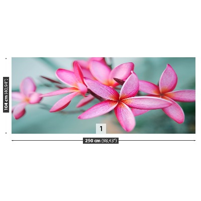 Mural de parede Plumeria Rosa