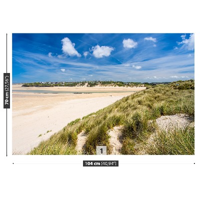 Mural de parede Praia das Dunas