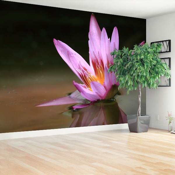 Papel de parede Lagoa de Lótus