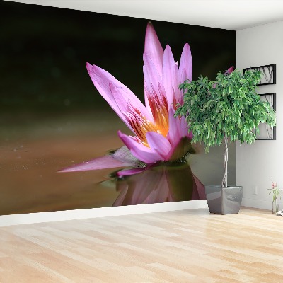 Papel de parede Lagoa de Lótus