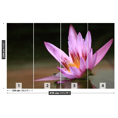 Papel de parede Lagoa de Lótus