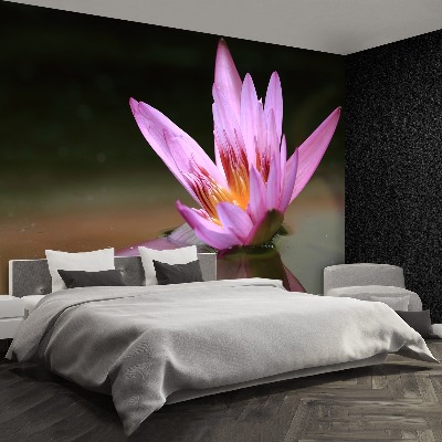 Papel de parede Lagoa de Lótus