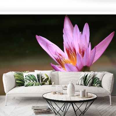 Papel de parede Lagoa de Lótus