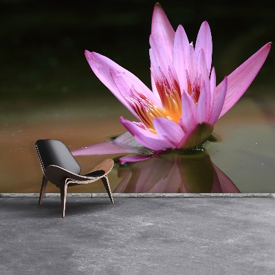 Papel de parede Lagoa de Lótus