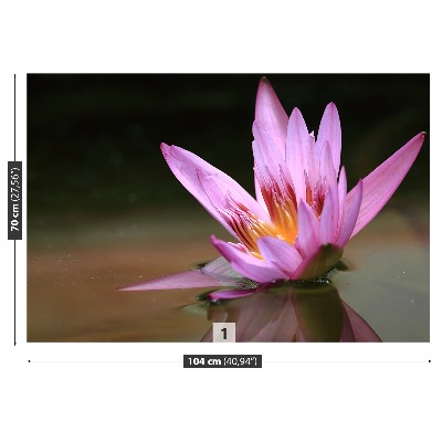 Papel de parede Lagoa de Lótus