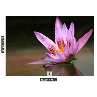 Papel de parede Lagoa de Lótus