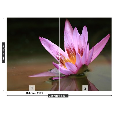 Papel de parede Lagoa de Lótus