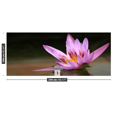 Papel de parede Lagoa de Lótus