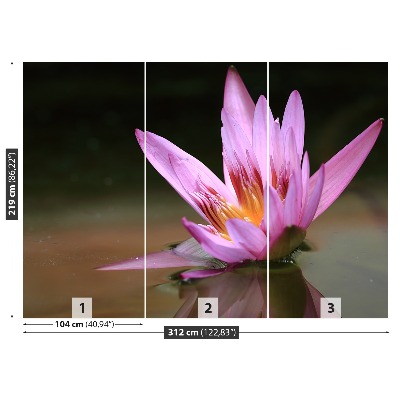 Papel de parede Lagoa de Lótus