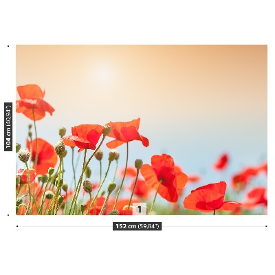 Mural de parede Flores de papoulas