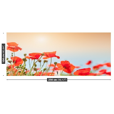 Mural de parede Flores de papoulas