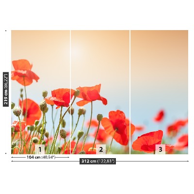 Mural de parede Flores de papoulas