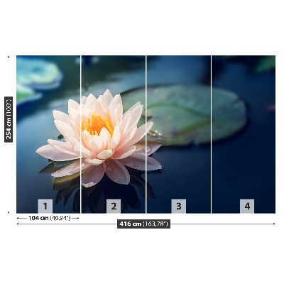 Mural de parede Lago de flores de lótus