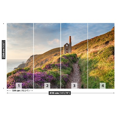 Mural de parede Costa da Cornualha