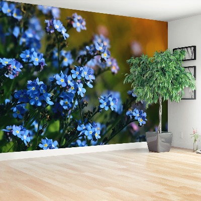Mural de parede Miosótis