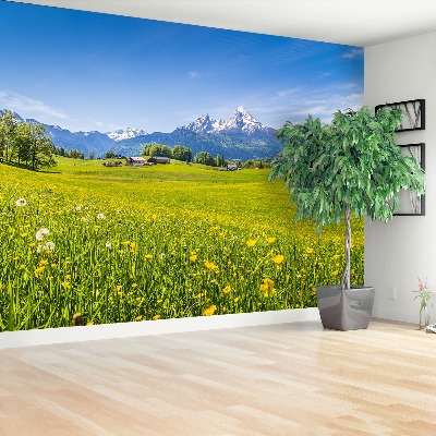 Papel de parede Prados alpinos